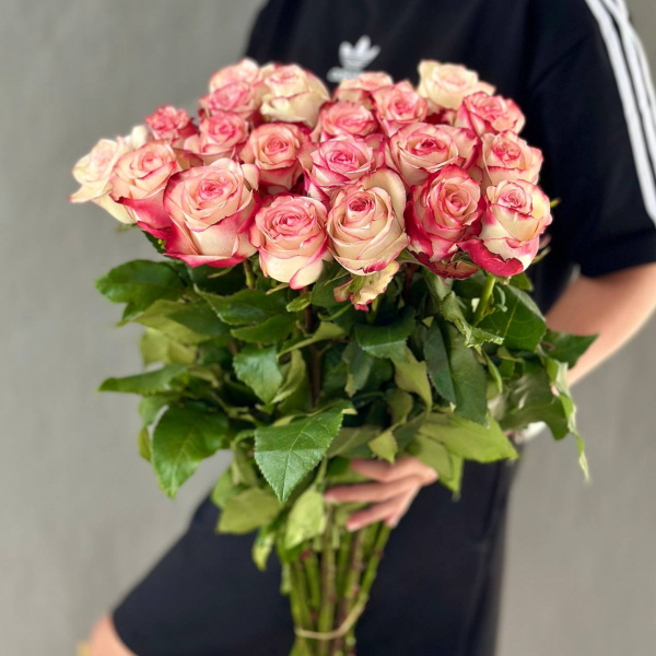 Роза Эквадор Палома 50 см
