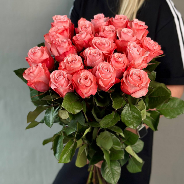 Роза Эквадор персиковая 60 см