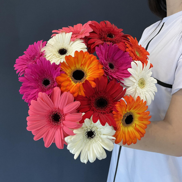 Гербера микс    