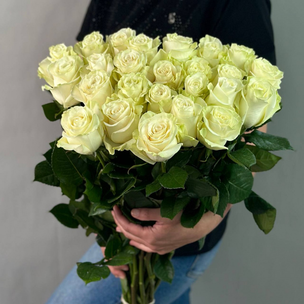 Роза Эквадор Мондиаль 60 см