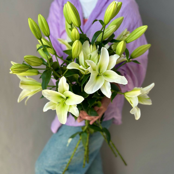 Лилия белая